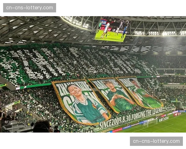 现场聚焦:维罗纳球迷在看台打出巨型Tifo致敬功勋主帅 现场聚焦:维罗纳球迷在看台打出巨型Tifo致敬功勋主帅